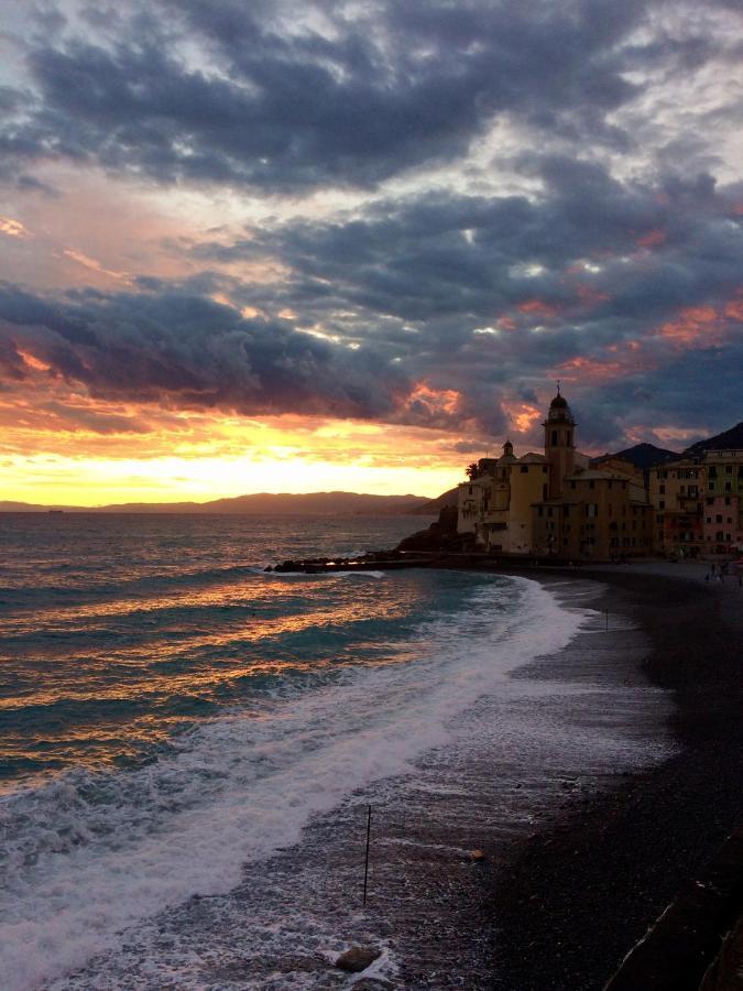 Sguardo Sul Porto Apartment Camogli Bagian luar foto